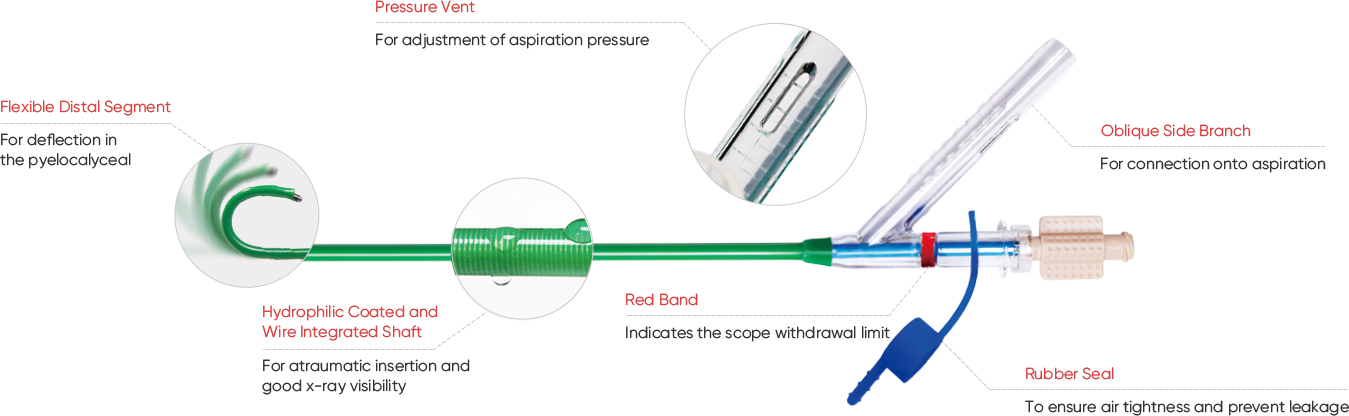 Discover the Advantages of ClearPetra Ureteral Access Sheath by Well Lead Medical